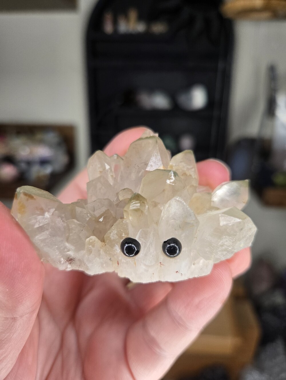 Green Phantom Garden Quartz Crystal Hedgie Buddy B